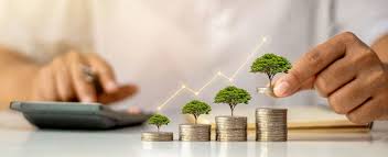 INCOME TAX RETURN
